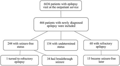 Frontiers Treatment Outcome and Risk Factors of Adult Newly